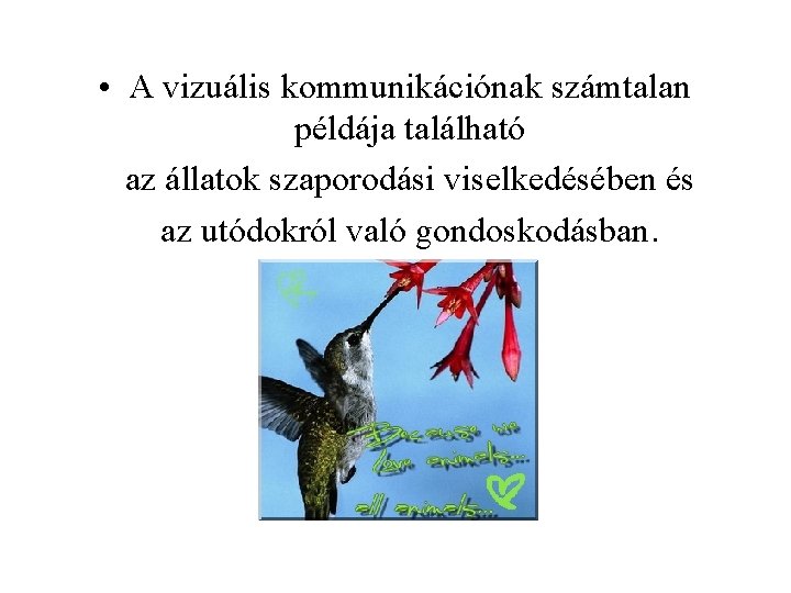  • A vizuális kommunikációnak számtalan példája található az állatok szaporodási viselkedésében és az