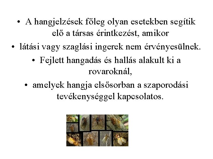 • A hangjelzések főleg olyan esetekben segítik elő a társas érintkezést, amikor • • A hangjelzések főleg olyan esetekben segítik elő a társas érintkezést, amikor •