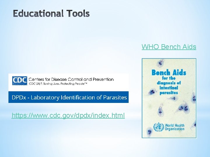 WHO Bench Aids https: //www. cdc. gov/dpdx/index. html 