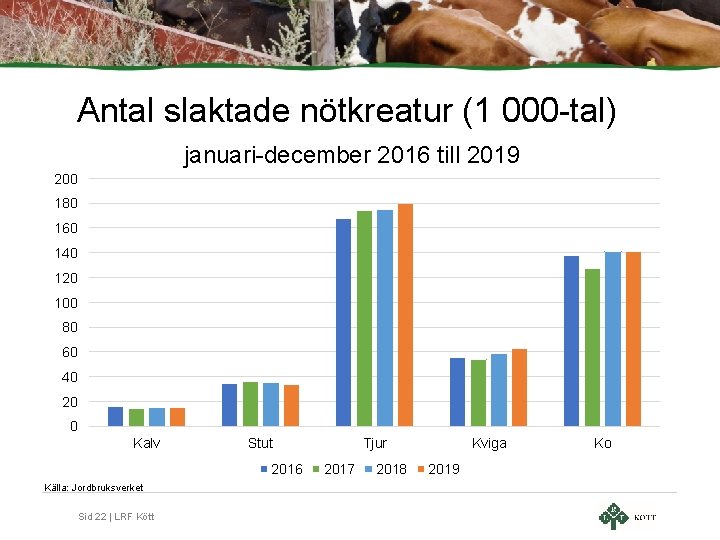 Antal slaktade nötkreatur (1 000 -tal) januari-december 2016 till 2019 200 180 160 140