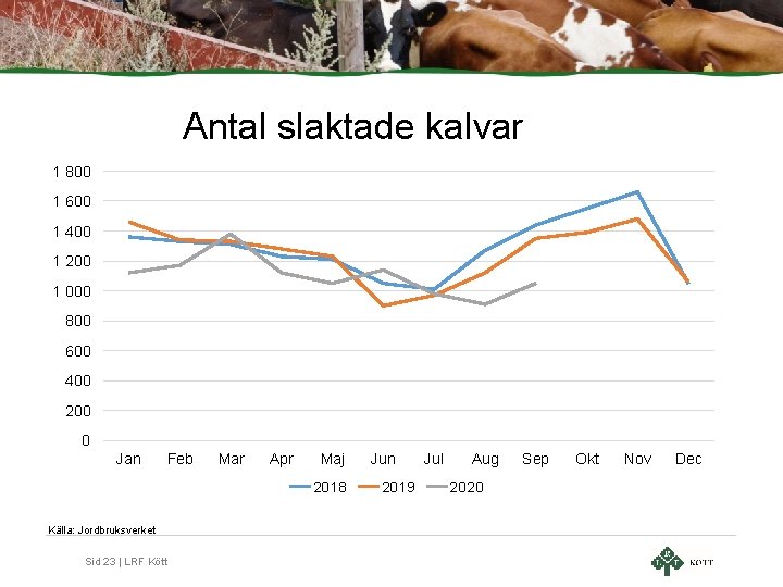 Antal slaktade kalvar 1 800 1 600 1 400 1 200 1 000 800 Antal slaktade kalvar 1 800 1 600 1 400 1 200 1 000 800