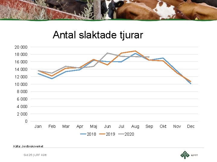 Antal slaktade tjurar 20 000 18 000 16 000 14 000 12 000 10