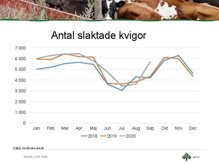 Antal slaktade kvigor 7 000 6 000 5 000 4 000 3 000 2