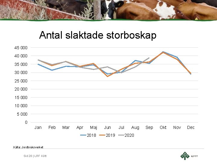 Antal slaktade storboskap 45 000 40 000 35 000 30 000 25 000 20 Antal slaktade storboskap 45 000 40 000 35 000 30 000 25 000 20