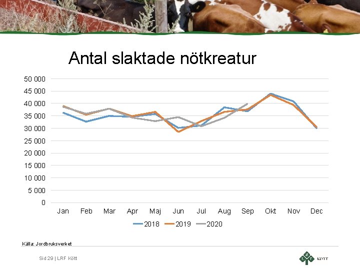 Antal slaktade nötkreatur 50 000 45 000 40 000 35 000 30 000 25