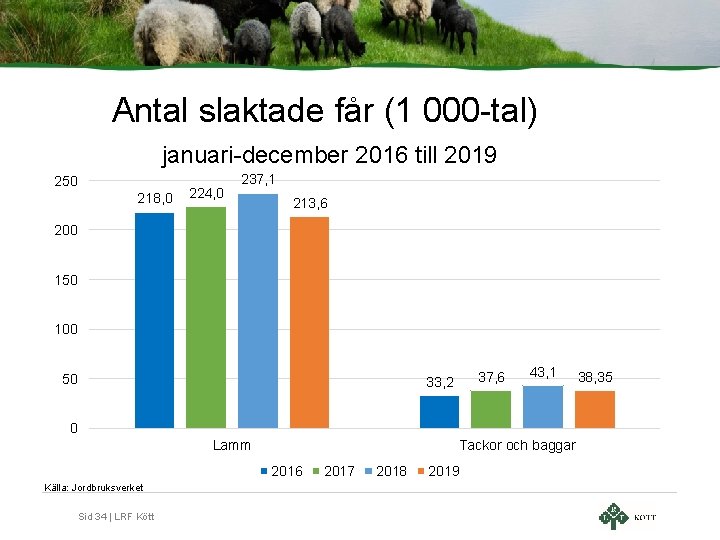 Antal slaktade får (1 000 -tal) januari-december 2016 till 2019 250 218, 0 224,