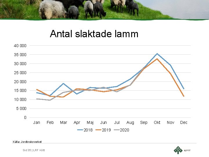 Antal slaktade lamm 40 000 35 000 30 000 25 000 20 000 15 Antal slaktade lamm 40 000 35 000 30 000 25 000 20 000 15