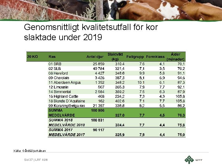 Genomsnittligt kvalitetsutfall för kor slaktade under 2019 Källa: Gård&Djurhälsan Sid 37 | LRF Kött