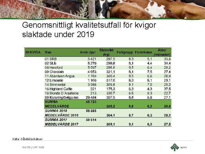 Genomsnittligt kvalitetsutfall för kvigor slaktade under 2019 Källa: Gård&Djurhälsan Sid 38 | LRF Kött Genomsnittligt kvalitetsutfall för kvigor slaktade under 2019 Källa: Gård&Djurhälsan Sid 38 | LRF Kött