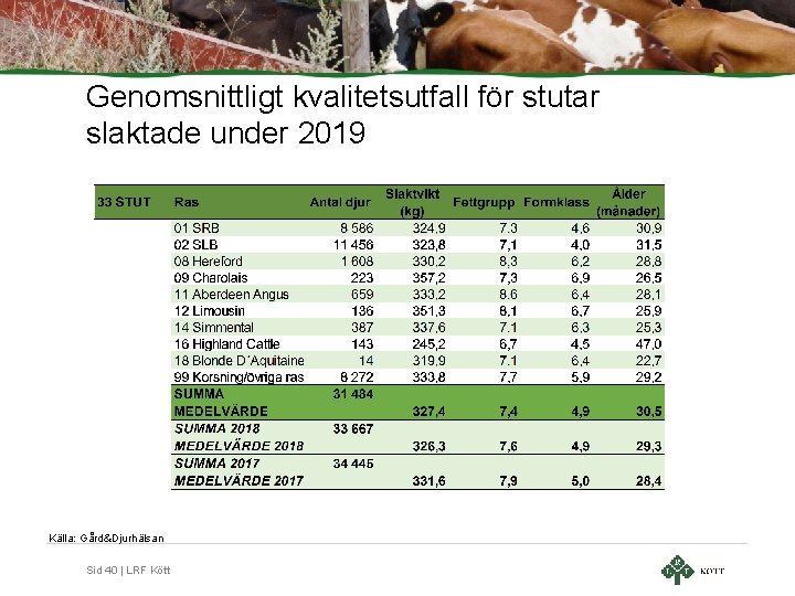 Genomsnittligt kvalitetsutfall för stutar slaktade under 2019 Källa: Gård&Djurhälsan Sid 40 | LRF Kött