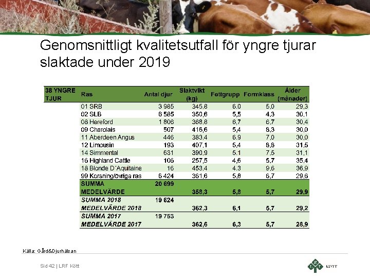 Genomsnittligt kvalitetsutfall för yngre tjurar slaktade under 2019 Källa: Gård&Djurhälsan Sid 42 | LRF