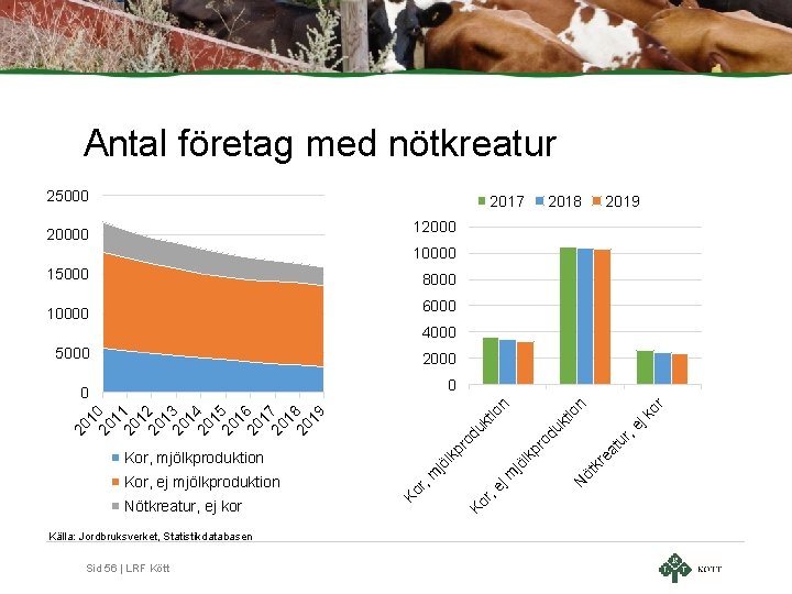 Antal företag med nötkreatur 25000 2017 2018 2019 120000 15000 8000 6000 10000 4000