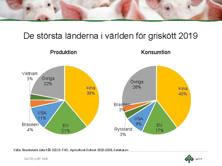 De största länderna i världen för griskött 2019 Produktion Vietnam Övriga 3% 22% Övriga De största länderna i världen för griskött 2019 Produktion Vietnam Övriga 3% 22% Övriga