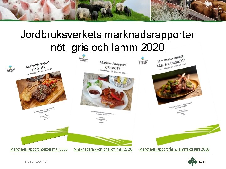 Jordbruksverkets marknadsrapporter nöt, gris och lamm 2020 Marknadsrapport nötkött maj 2020 Sid 86 |