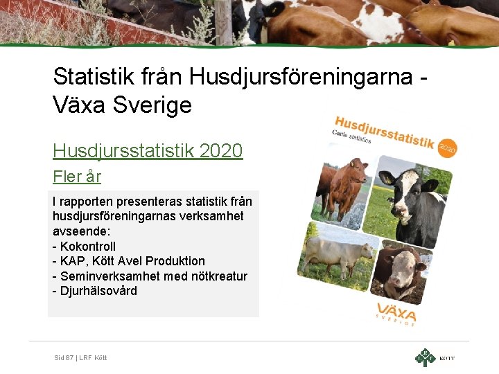 Statistik från Husdjursföreningarna Växa Sverige Husdjursstatistik 2020 Fler år I rapporten presenteras statistik från