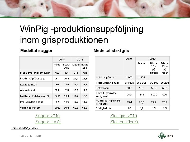 Win. Pig -produktionsuppföljning inom grisproduktionen Medeltal suggor Medeltal slaktgris 2018 2019 Medel Bästa 25%