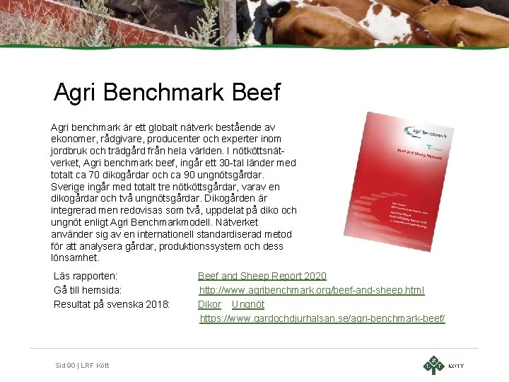 Agri Benchmark Beef Agri benchmark är ett globalt nätverk bestående av ekonomer, rådgivare, producenter