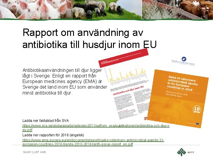 Rapport om användning av antibiotika till husdjur inom EU Antibiotikaanvändningen till djur ligger lågt