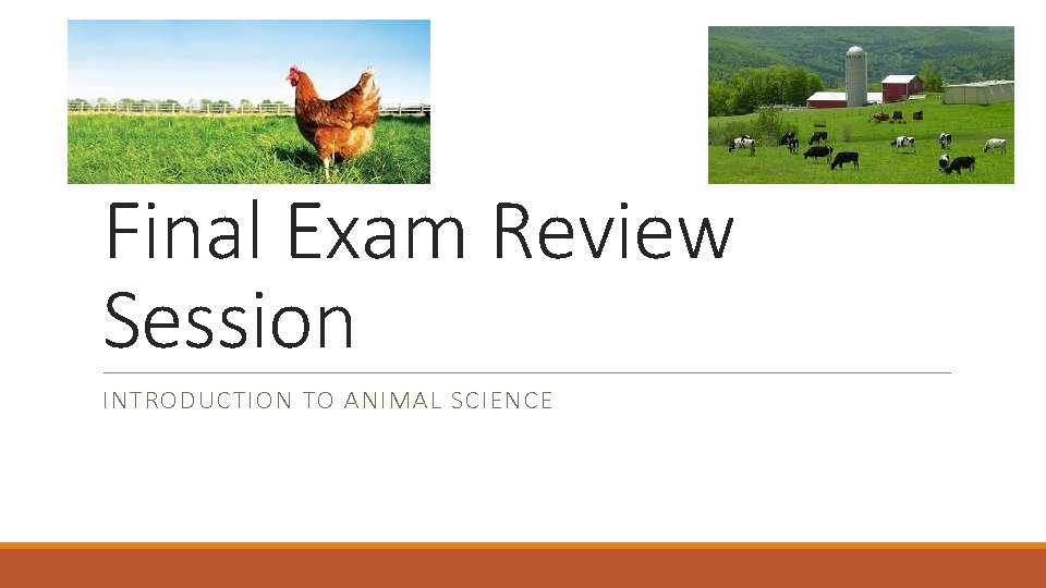 Final Exam Review Session INTRODUCTION TO ANIMAL SCIENCE 