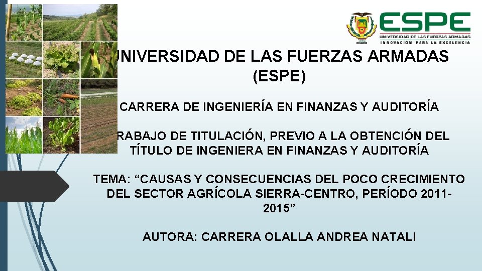 UNIVERSIDAD DE LAS FUERZAS ARMADAS (ESPE) CARRERA DE INGENIERÍA EN FINANZAS Y AUDITORÍA TRABAJO