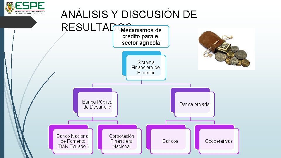 ANÁLISIS Y DISCUSIÓN DE RESULTADOS Mecanismos de crédito para el sector agrícola Sistema Financiero