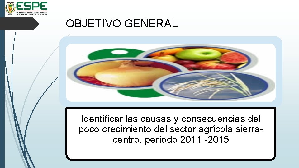 OBJETIVO GENERAL Identificar las causas y consecuencias del poco crecimiento del sector agrícola sierracentro,