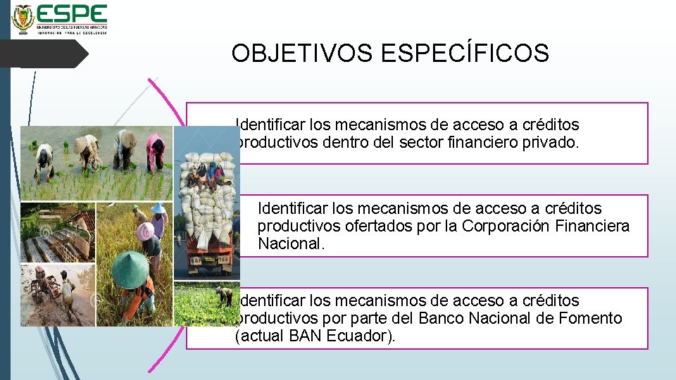 OBJETIVOS ESPECÍFICOS Identificar los mecanismos de acceso a créditos productivos dentro del sector financiero