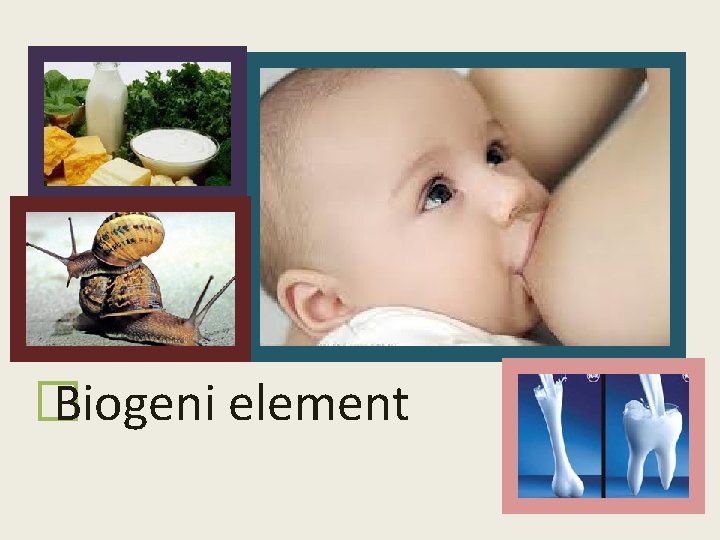 � Biogeni element 