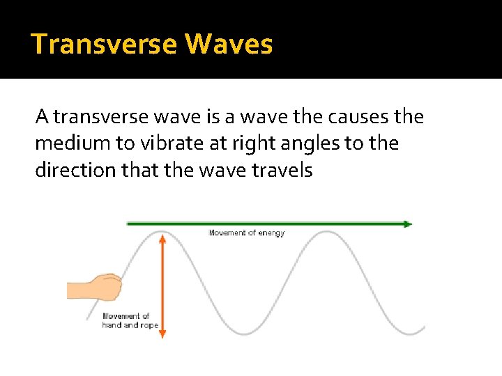 Transverse Waves A transverse wave is a wave the causes the medium to vibrate