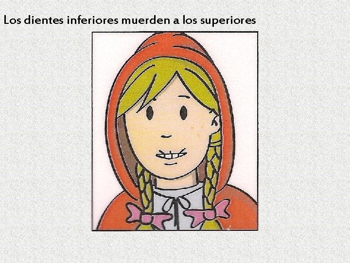 Los dientes inferiores muerden a los superiores 