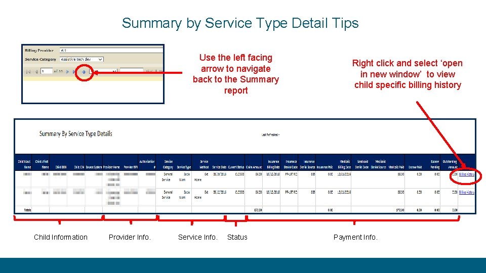 Summary by Service Type Detail Tips Use the left facing arrow to navigate back