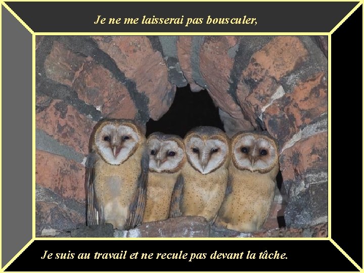 Je ne me laisserai pas bousculer, Je suis au travail et ne recule pas