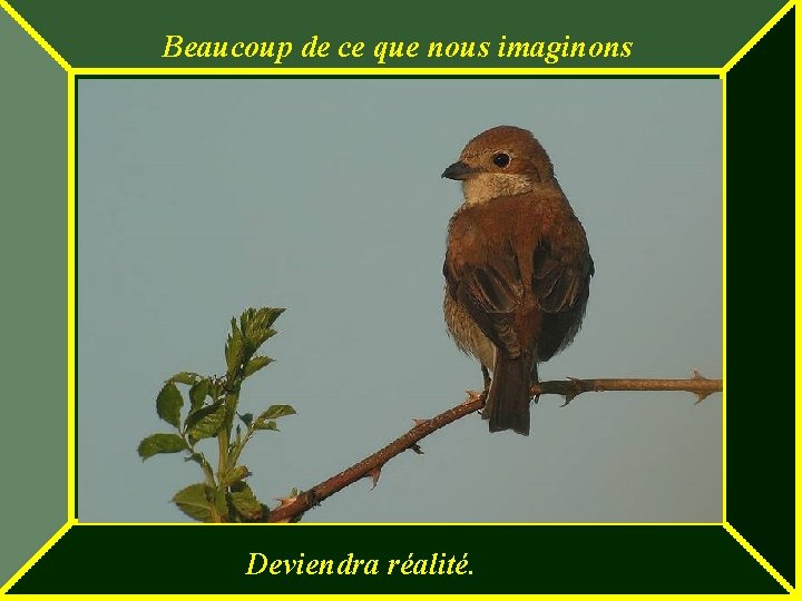 Beaucoup de ce que nous imaginons Deviendra réalité. 