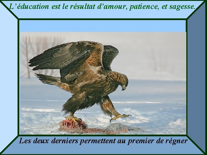 L’éducation est le résultat d’amour, patience, et sagesse. Les deux derniers permettent au premier