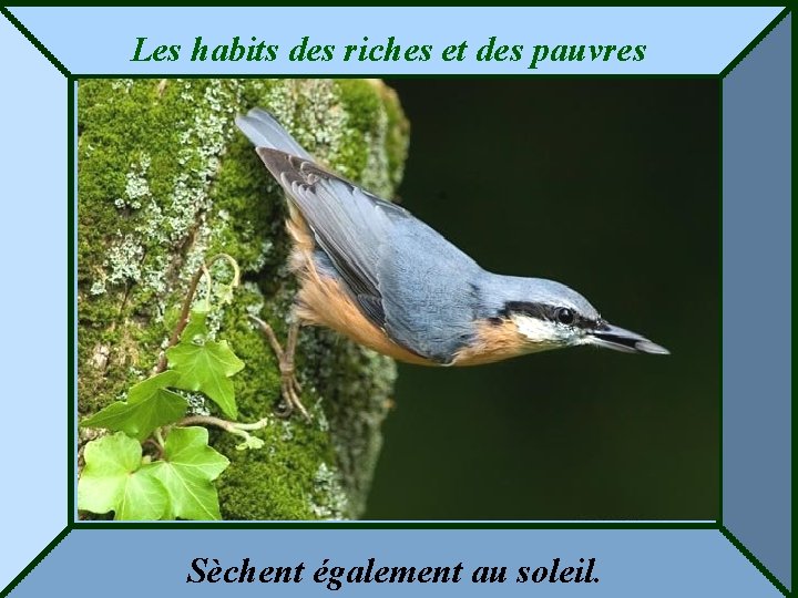 Les habits des riches et des pauvres Sèchent également au soleil. 