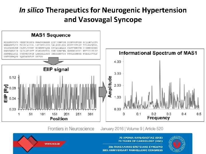 In silico Therapeutics for Neurogenic Hypertension and Vasovagal Syncope 