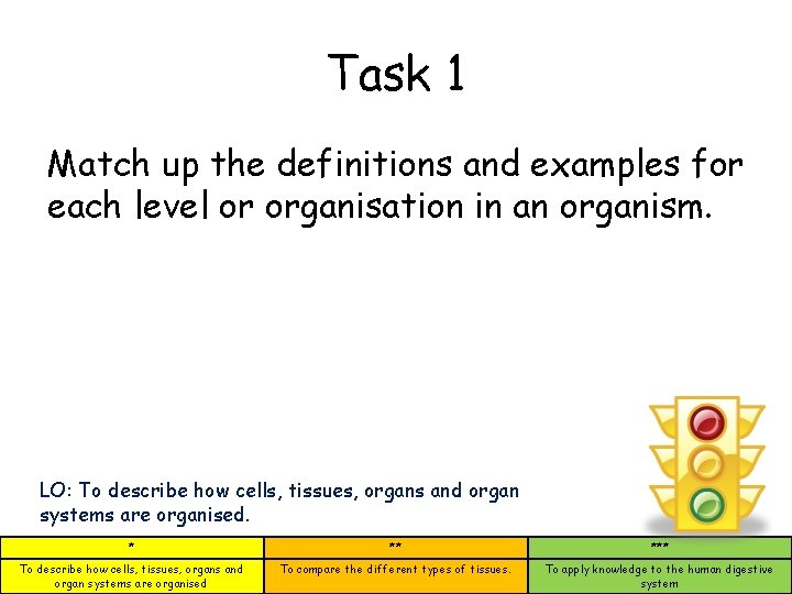 Task 1 Match up the definitions and examples for each level or organisation in