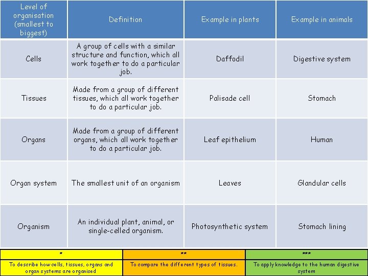 Level of organisation (smallest to biggest) Definition Example in plants Example in animals Cells