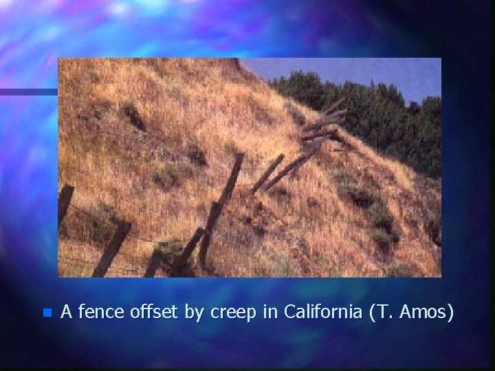 n A fence offset by creep in California (T. Amos) 