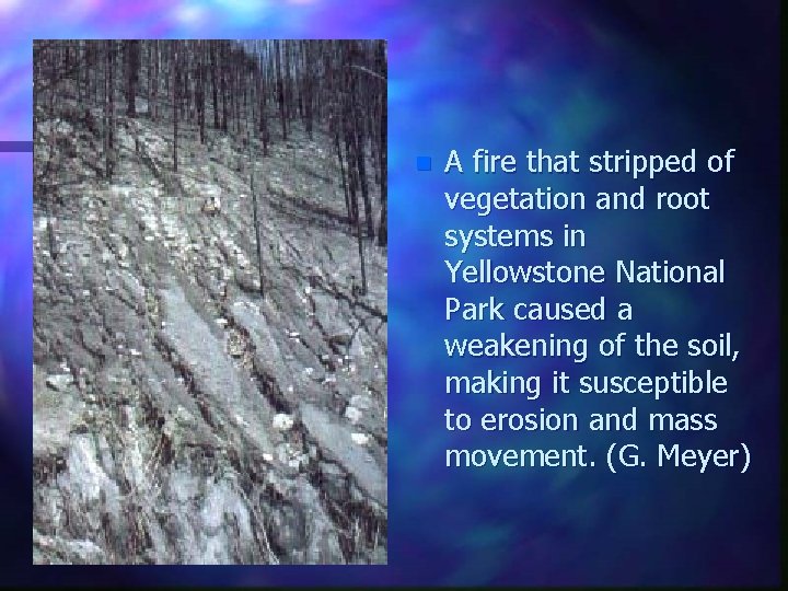 n A fire that stripped of vegetation and root systems in Yellowstone National Park