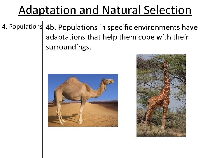 Adaptation and Natural Selection 4. Populations 4 b. Populations in specific environments have adaptations