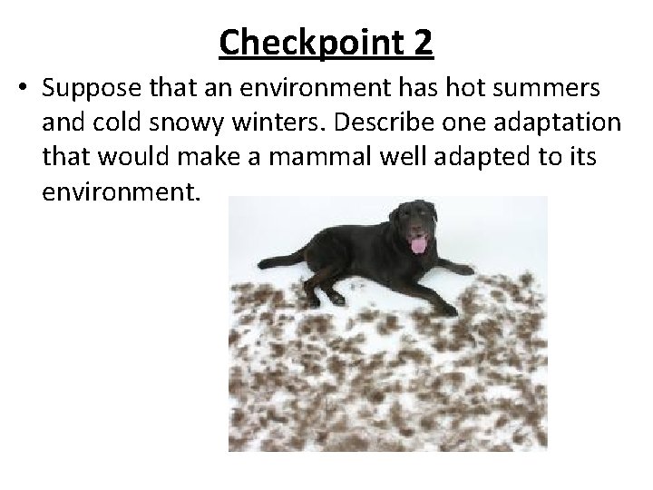 Checkpoint 2 • Suppose that an environment has hot summers and cold snowy winters.
