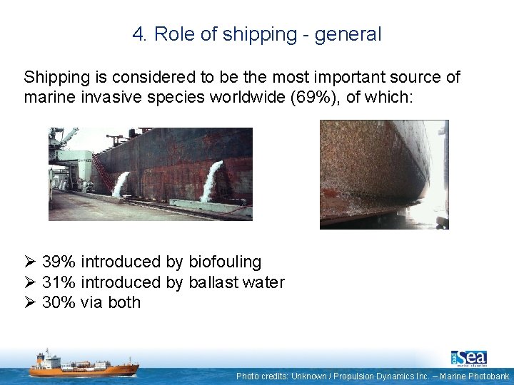 4. Role of shipping - general Shipping is considered to be the most important