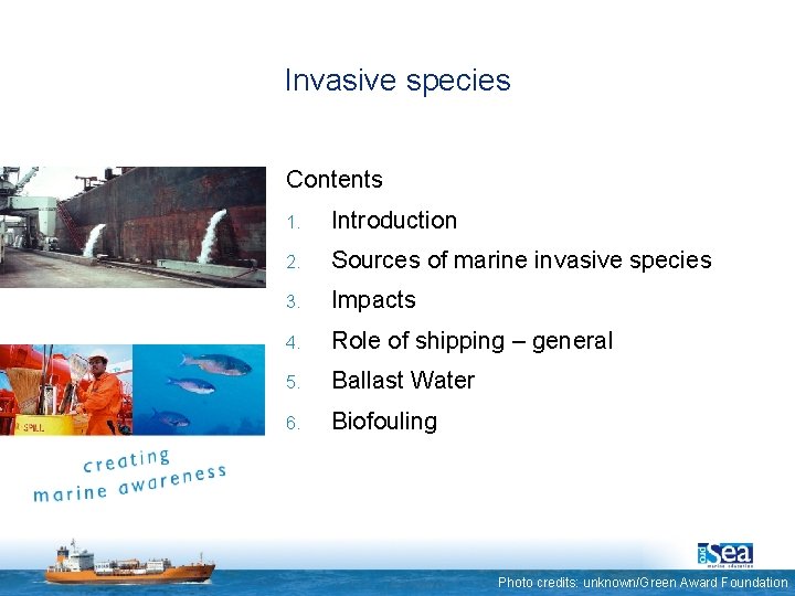 Invasive species Contents 1. Introduction 2. Sources of marine invasive species 3. Impacts 4.