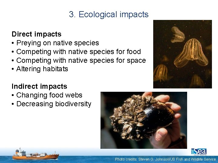 3. Ecological impacts Direct impacts • Preying on native species • Competing with native