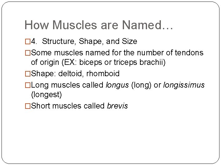 How Muscles are Named… � 4. Structure, Shape, and Size �Some muscles named for How Muscles are Named… � 4. Structure, Shape, and Size �Some muscles named for