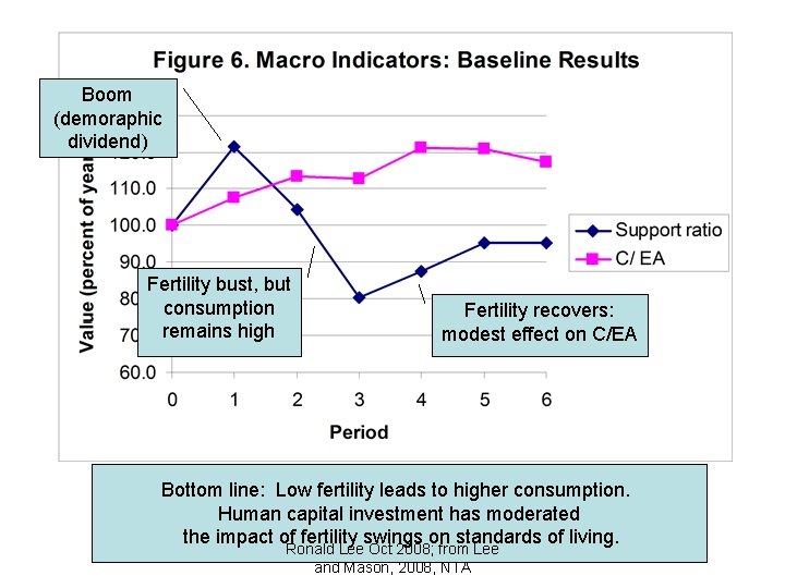 Boom (demoraphic dividend) Fertility bust, but consumption remains high Fertility recovers: modest effect on