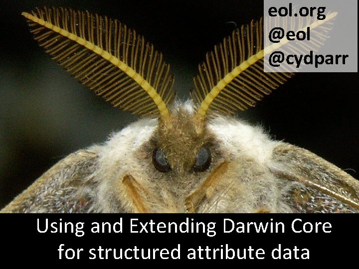 eol. org @eol @cydparr Using and Extending Darwin Core for structured attribute data 