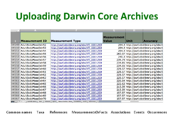 Uploading Darwin Core Archives Common names Taxa References Measurements. Or. Facts Associations Events Occurrences
