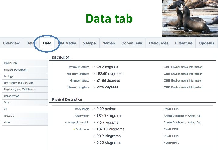 Data tab 